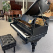 1899 Steinway ice cream cone model A grand piano with PianoDisc player system - Grand Pianos